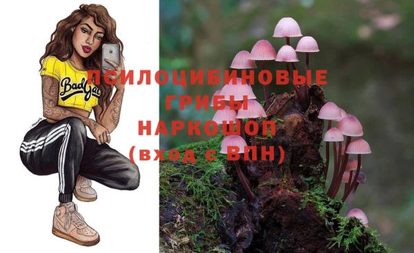 spice Алексеевка
