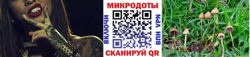 Псилоцибиновые грибы GOLDEN TEACHER Кизилюрт