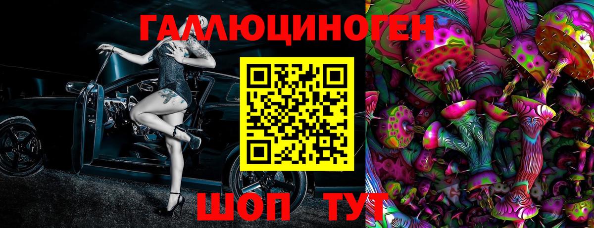 Галлюциногенные грибы Psilocybe Кизилюрт